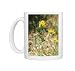 Photo Mugs of Bird s-foot / Birdsfoot TREFOIL from Ardea Wildlife Pets