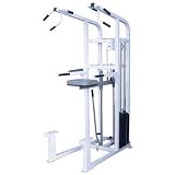 Quality Fitness by Maximus MX-330 Assisted Chin-Dip