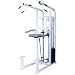 Quality Fitness by Maximus MX-330 Assisted Chin-Dip