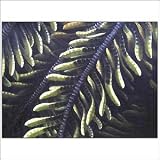 Bough - Bali Fine Art - CraftNetwork