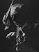 All Products : Close Up of Isaac Stern Playing Violin at Photographer Mili's Studio Premium Photographic Poster Print