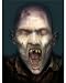Search : The Dead City Chronicles