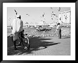 dubai creek Birds and Watcher, Dubai Creek, Dubai Photography Framed Art Poster Print by Walter Bibikow, 49x39