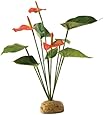 Exo Terra Anthurium Bush Terrarium Plant