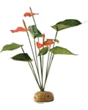 Exo Terra Anthurium Bush Terrarium Plant
