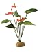 Hagen Exo Terra Anthurium Bush Terrarium Plant
