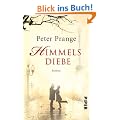 Himmelsdiebe: Roman