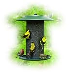 Green Steel Magnum Thistle Feeder
