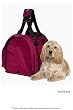 SturdiBag Pet Carrier, X-Large - Bordeaux