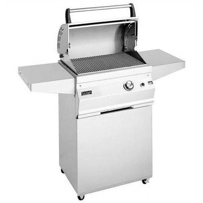 Deluxe Stand Alone Gas Stainless Steel)