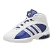 adidas Kids' Pro Team 06 Basketball Shoe