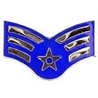 U.S. Air Force E4 Senior Airman Pin 1"