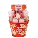 Lumi&egrave;re D'espritTM Fragranced Candle Collection  Citrus Clove