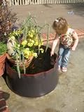 45 gallon PopUp Pond Outdoor Water Garden