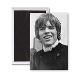 Hermans Hermits - 3x2 inch Fridge Magnet - large magnetic button - Magnet