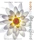 Psychology: The Core (Basics)