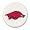 Arkansas Razorbacks