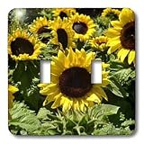 Patricia Sanders Flowers - sunflowers - Light Switch Covers - double toggle switch