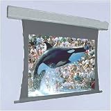 BriteWhite Lectric III Motorized Screen - 180