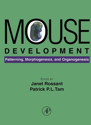 Mouse Development: Patterning, Morphogenesis, and Organogenesis
