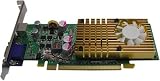 41nnclkXg%2BL. SL160  Nvidia Geforce 9400GT Pcie DDR2 2PORT VGa Low Profile