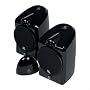 Audiovox AW877 Outdoor Wireless Stereo Speaker with 1" Dome Tweeter & 4" Woofer