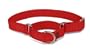 Premier ECO Dog Collar, Large 1-Inch, Sedona Red