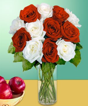 12 Red & White Long Stem Roses
