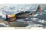 1/48 �t�H�b�P�E���t Fw190A-4 �O���[�t