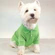 Preppy Puppy Polo - Hampton Green Medium
