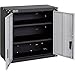 Homak 2 Door Wall Cabinet with 2 Shelves, Steel, GS00727021