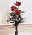 Flowers & Gifts - love's embrace(tm) roses