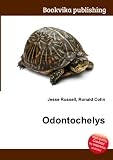 Odontochelys