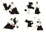 Aikido - 60W x 43H - Peel and Stick Wall Decal by Wallmonkeys