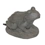 TotalPond A16526 Pond Frog Water Spitter