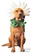 Pet Daisy Dog Halloween Costume For Large Dogs