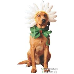 Pet Daisy Dog Halloween Costume For Large Dogs
