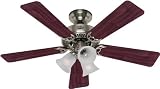 Cyber Monday Hunter 20175 Southern Breeze Brushed Nickel 42