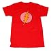 Search : TS16 Flash DC Comics Logo Washed Out T-Shirt