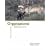 Organizational Behavior with Online Learning Center Premium Content Card