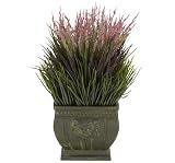Mixed Grass Silk Plant (Indoor/Outdoor) 41nojiEoMtL. SL160 Mixed Grass Silk Plant (Indoor/Outdoor)
