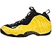 Nike Air Foamposite One