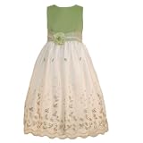 Girls 6-10 Special Occasion Holiday Party Dress with Embroidery and Sequins