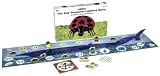 Eric Carle's The Bad Tempered Ladybird Game