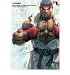 (STREET FIGHTER IV / SUPER STREET FIGHTER IV OFFICIAL COMPLETE WORKS) BY Capcom(Author)Paperback Dec-2011 bei amazon kaufen