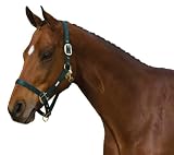 ROMA Classic Adjustable Halter with Snap