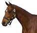Sporting Goods : ROMA Classic Adjustable Halter with Snap