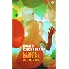 Ci sono bambini a zig-zag (Oscar contemporanea)