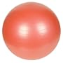 Sunny Health & Fitness Anti-Burst Gym Ball, 55 CM