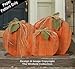 Pallet Wood Pumpkins Pattern